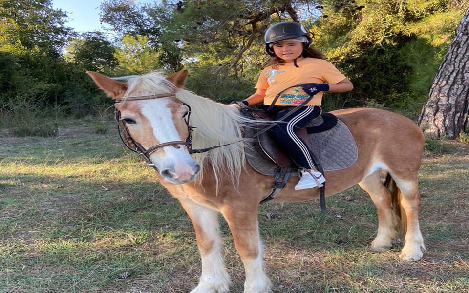 Side: Horse Safari Tour - Who Should Skip This Horse Safari (Important Safety Notes)
