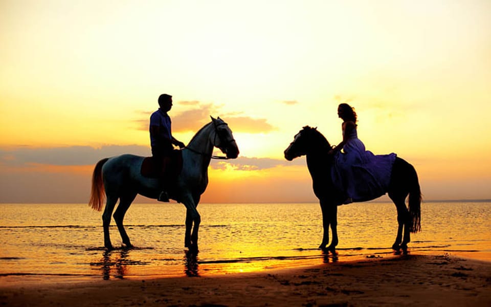 Side: Horseback Riding Tour in Nature - A 2-hour horseback ride in Side: what makes it feel worth $58