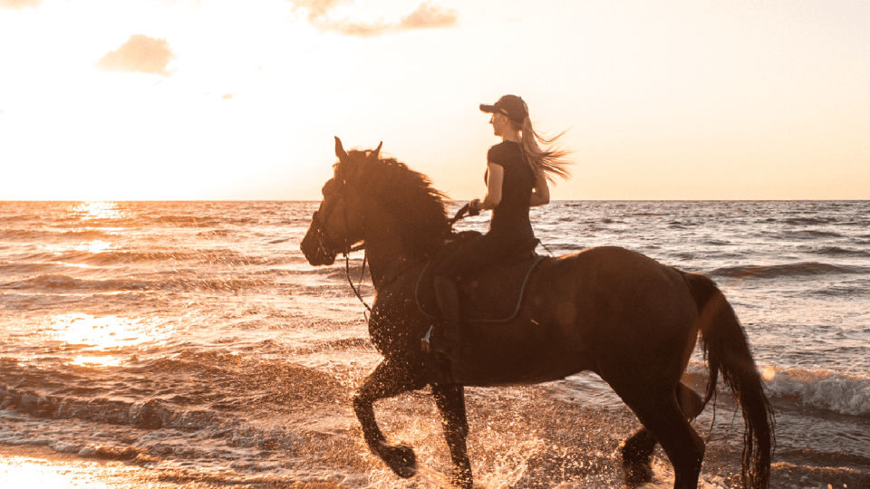 Side: Horseback Riding Tour in Nature - Ancient ruins while you ride: history you don’t have to hunt for