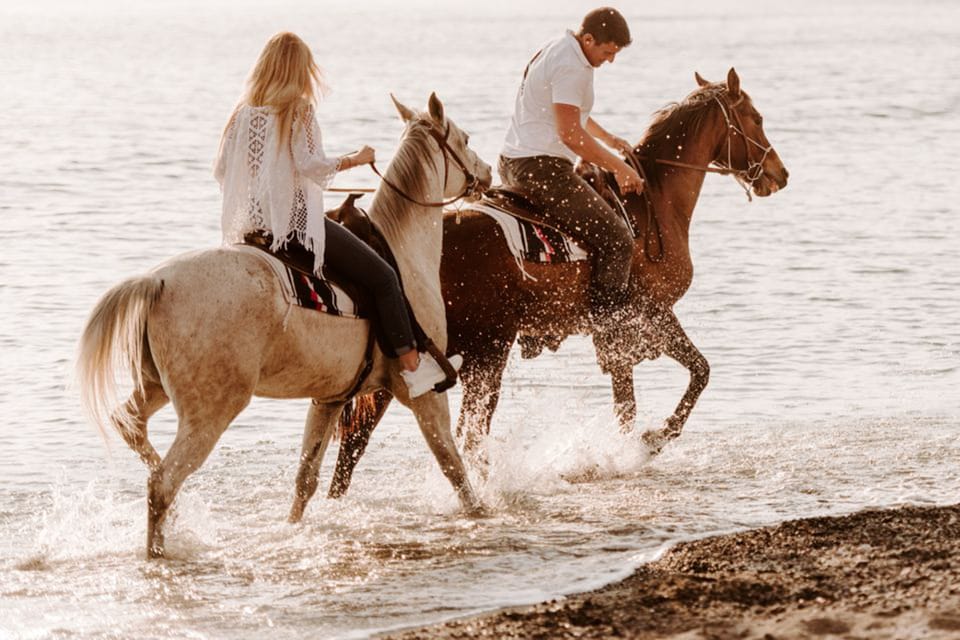 Side: Horseback Riding Tour in Nature - Riding time reality check: lessons, then the 1-hour ride
