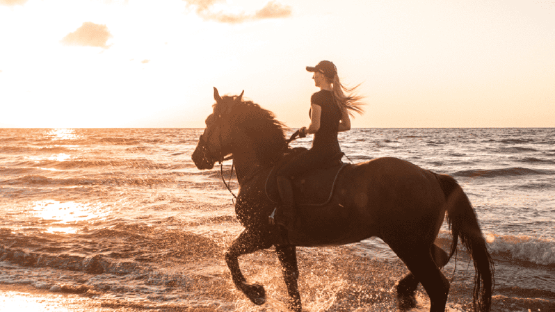 Side: Horseback Riding Tour in Nature - The operator and the vibe on the ground