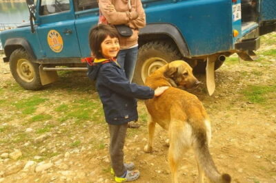Side: Jeep Safari Tour with Lunch and Green Canyon See - The 5-hour plan: timing that keeps you from feeling rushed