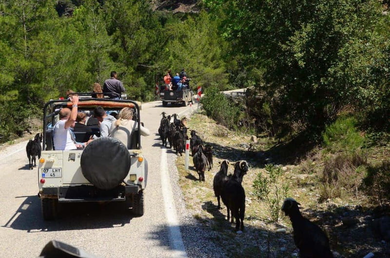 Side: Jeep Safari Tour with Lunch and Green Canyon See - Who this tour is perfect for (and who should skip it)