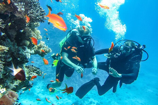 "Side: Scuba Diving in the Fascinating Underwater Museum" - Hotel Pickup, Lunch, and What’s Actually Included