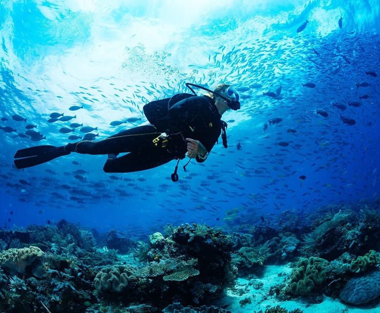 Side: Scuba Diving Tour Journey To The Depths Of The Blue - Final call: should you book?