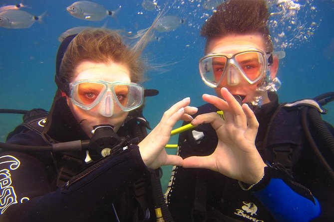 Side: Scuba Diving Under Water Museum - Side Underwater Museum Scuba: Why This Is a Good First Try