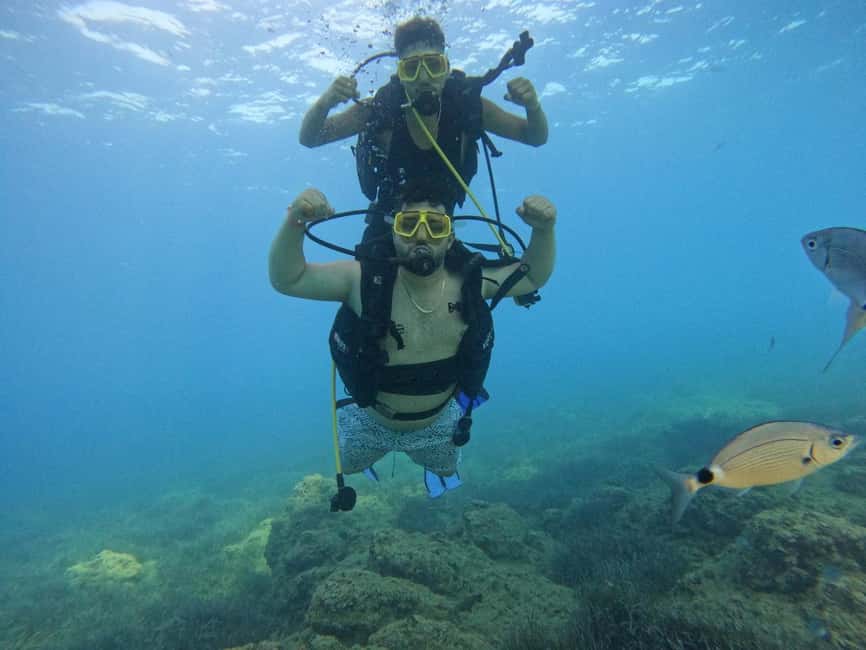 Side: Scuba Diving & Under Water Museum with Hotel Transfer - Underwater Museum, Reefs, and Wreck-Spotting Without the Guesswork