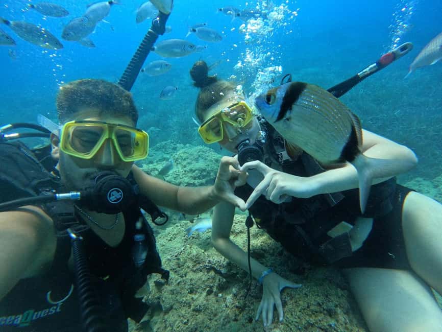 Side: Scuba Diving & Under Water Museum with Hotel Transfer - Lunch on Board and Snorkeling Gear That Actually Helps