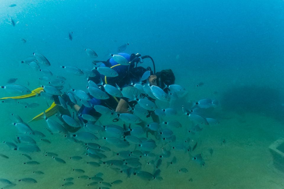 Side: Scuba Diving, Underwater Museum, 2 Dives incl. Lunch - Price and Value: What $49 Really Covers