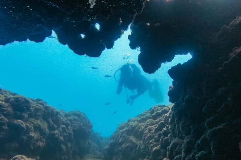 Side: Scuba Diving, Underwater Museum, 2 Dives incl. Lunch - Harbor Pickup, Boat Time, and the Transfer Rhythm